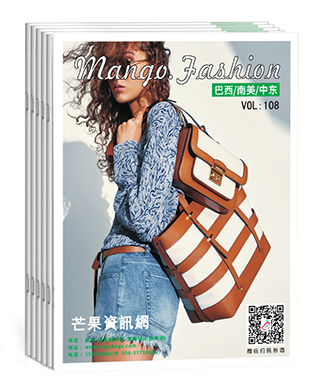 巴西/中东 特刊